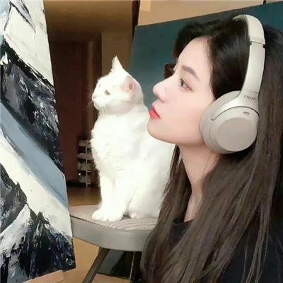 深夜中的企鹅